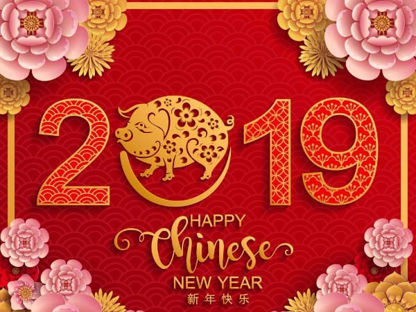 金豬送喜辭舊歲，雙志陪您慶新春！